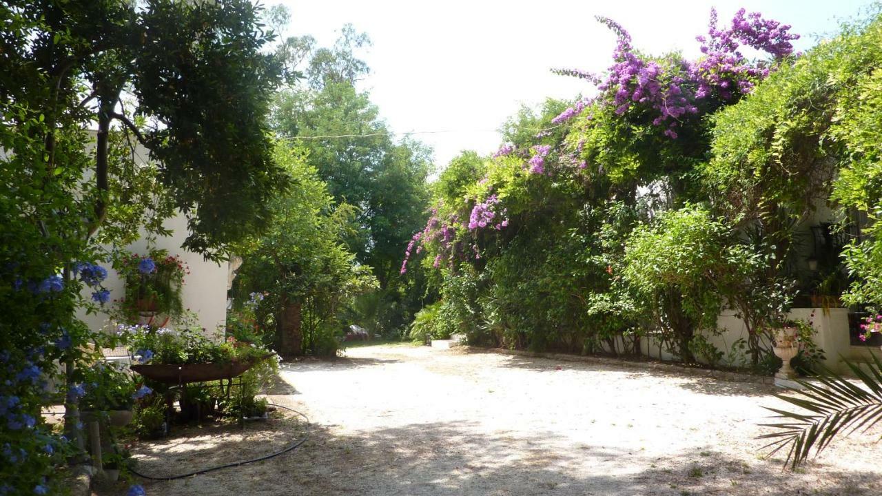 Вілла Il Trullo Del Cadetto Франкавілла-Фонтана Екстер'єр фото