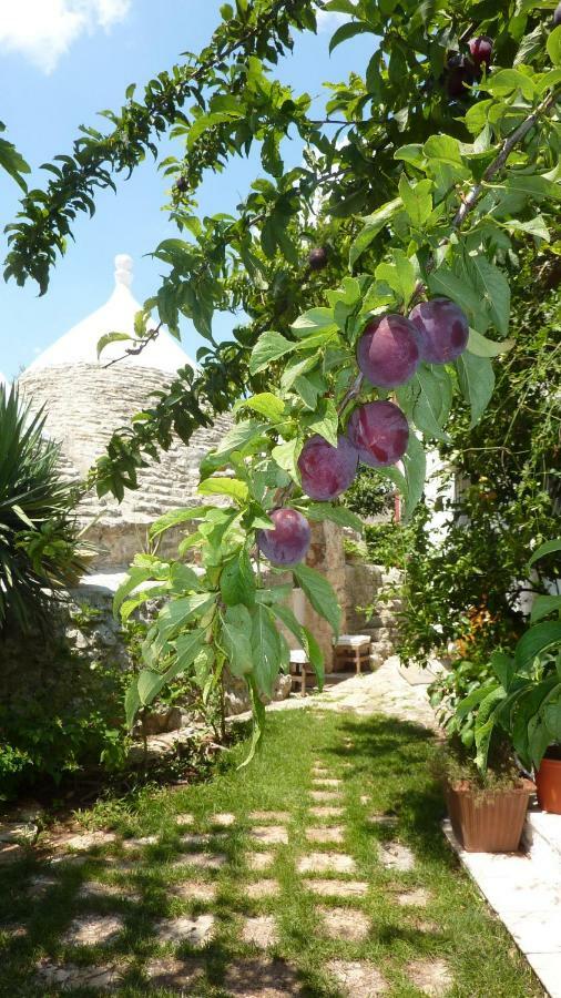 Вілла Il Trullo Del Cadetto Франкавілла-Фонтана Екстер'єр фото